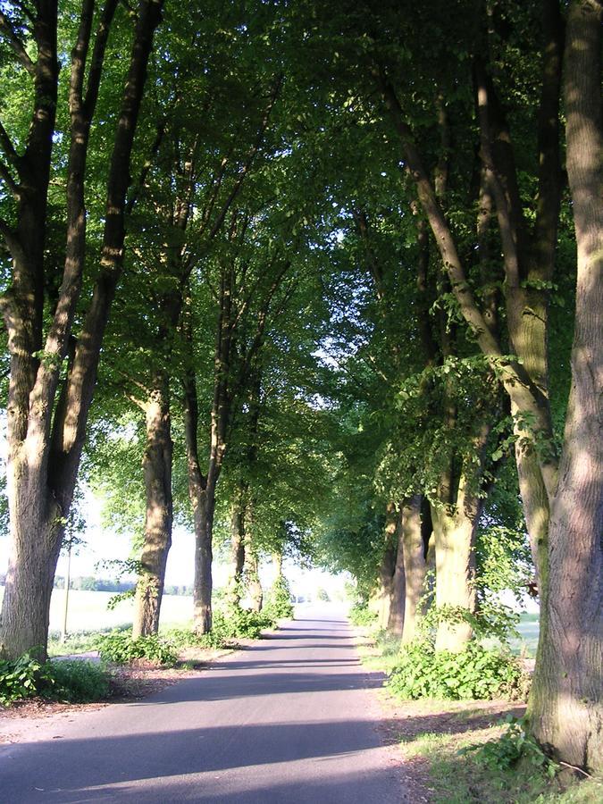 Landgasthaus Zum Naturschutzpark 比斯平根 外观 照片